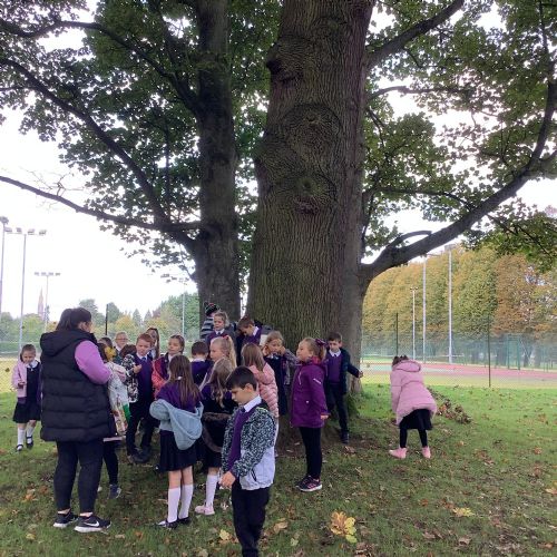 Autumn Walk
