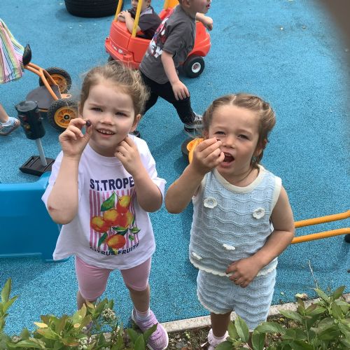 June Photographs